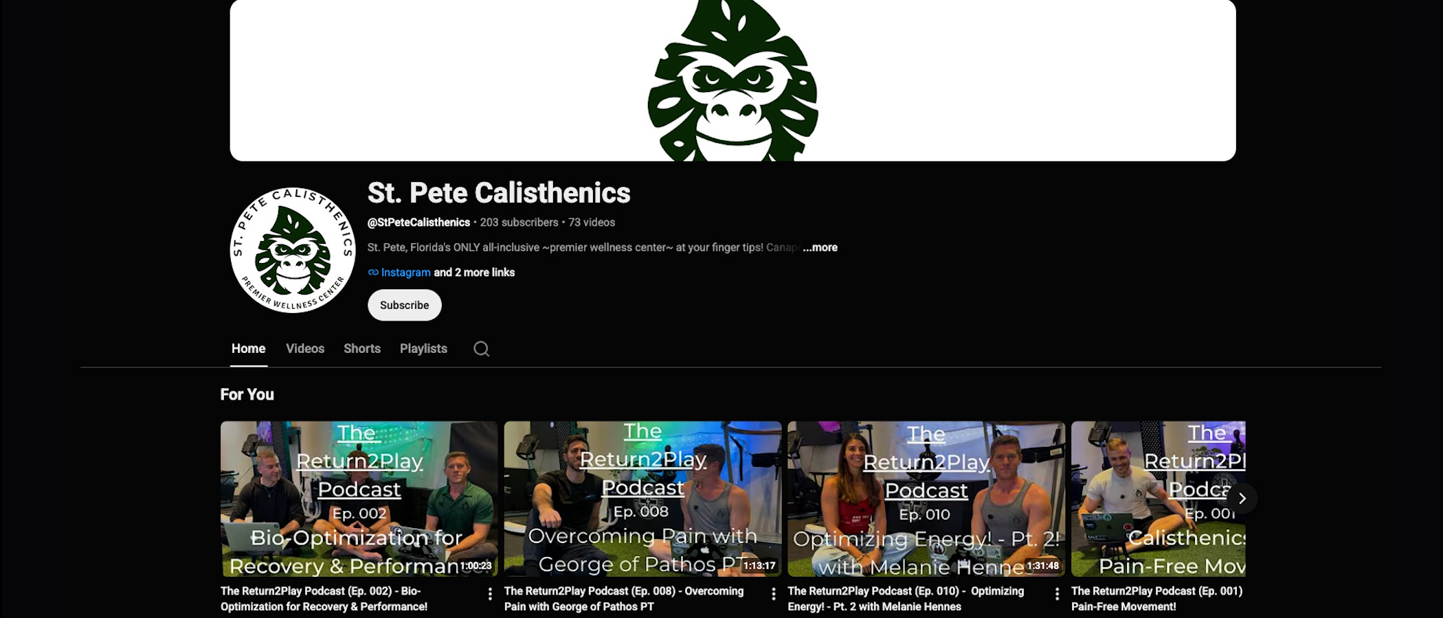 Saint Pete Calisthenics